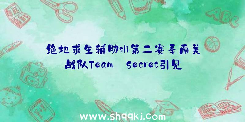 绝地求生辅助sli第二赛季南美战队Team